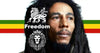 Bob Marley Timeline: Fighter for Freedom