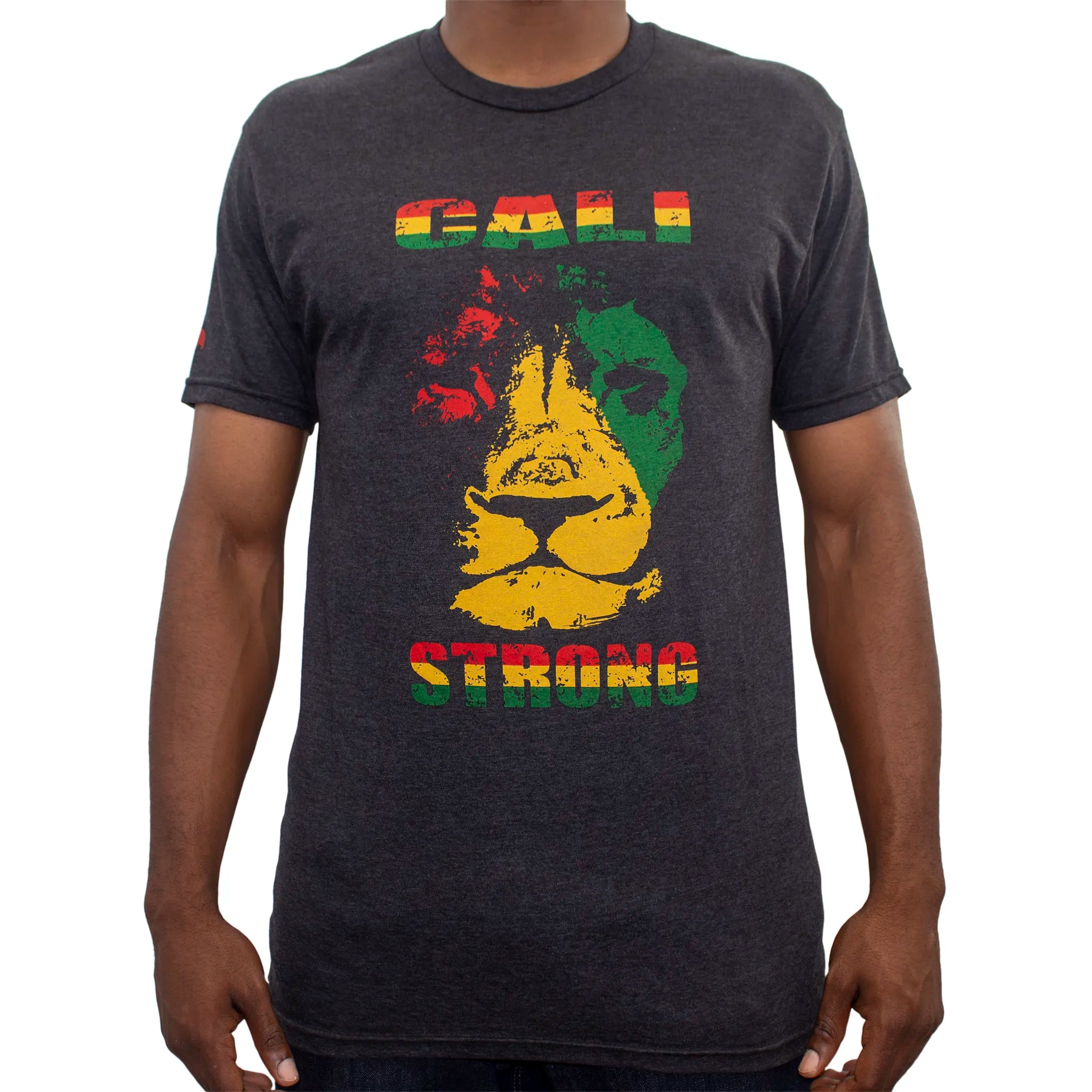 CALI Strong Triangle Lion Rasta Performance Triblend T-Shirt Charcoal Grey - T-Shirt - Image 1 - CALI Strong