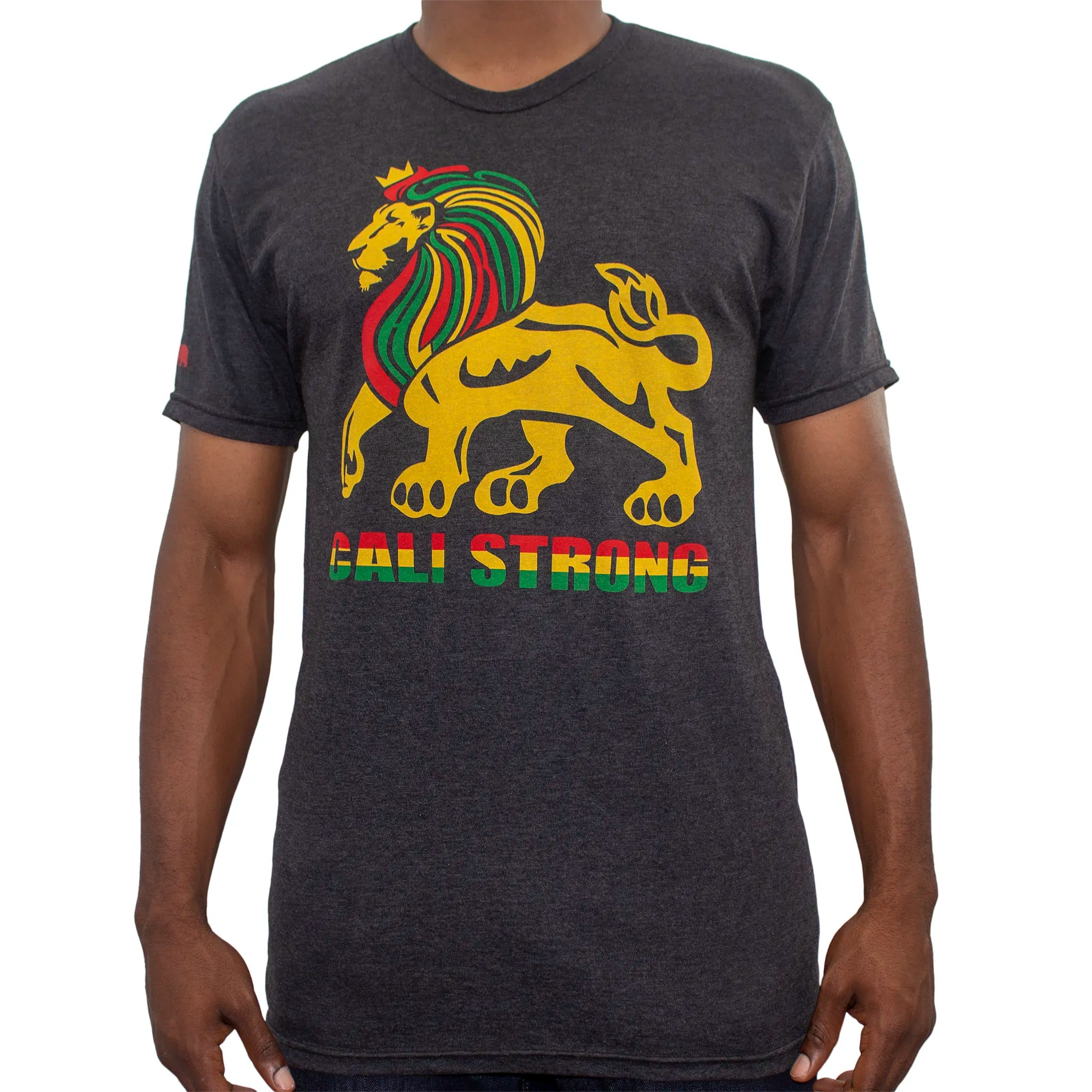 CALI Strong Lord Rasta Performance Triblend T-Shirt Charcoal Grey - T-Shirt - Image 1 - CALI Strong
