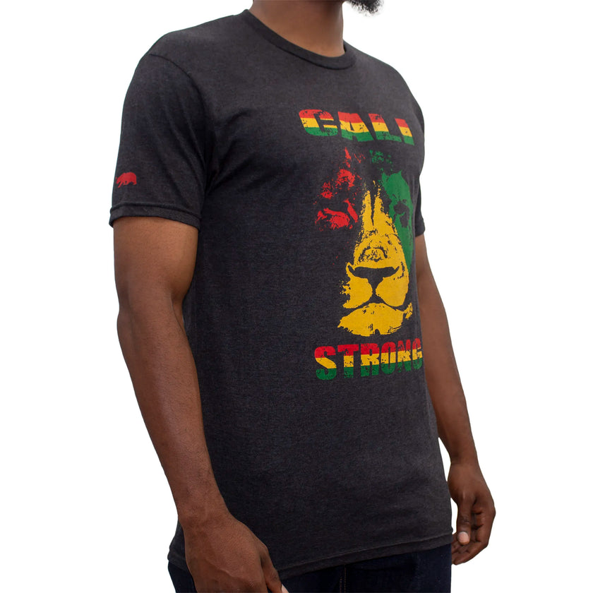 CALI Strong Triangle Lion Rasta Performance Triblend T-Shirt Charcoal Grey - T-Shirt - Image 2 - CALI Strong