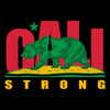 CALI Strong Original Rasta Skateboard Trick Complete - Trick Skateboard - Image 2 - CALI Strong