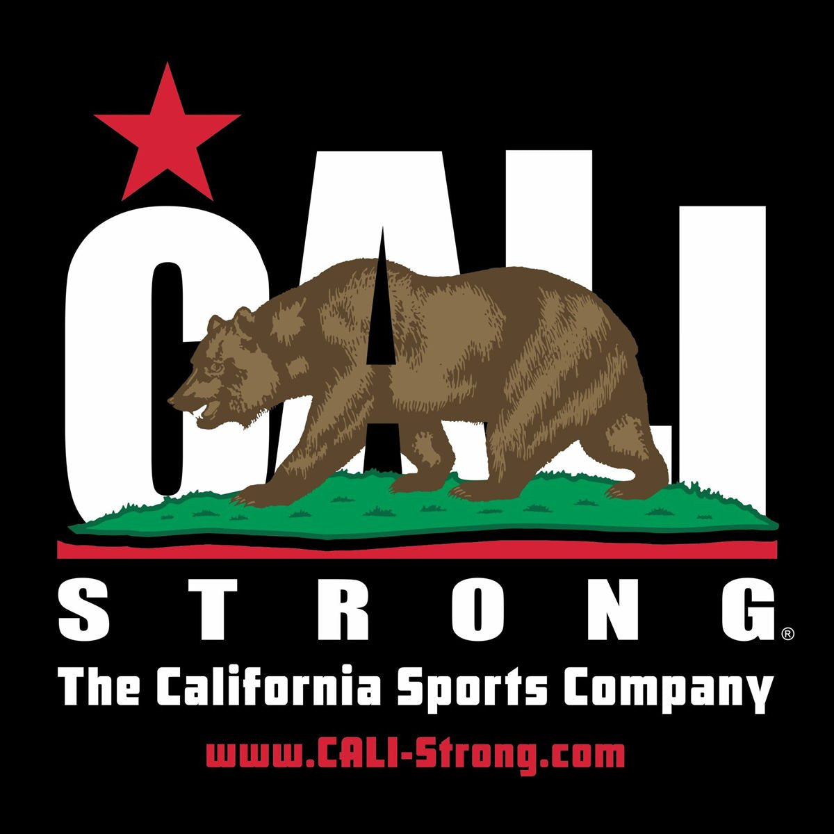 CALI Strong Sticker 4 Pack Series 1A Vinyl Decal Set - Stickers - Image 5 - CALI Strong